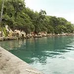 Baga