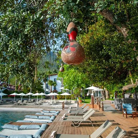 Hotel Baga Akyaka (Mugla)
