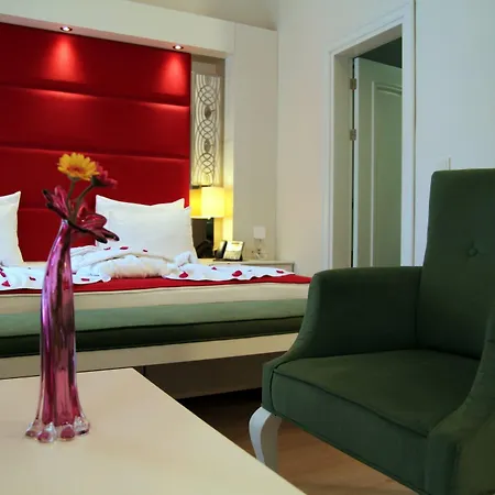 Otel Baga 3*
