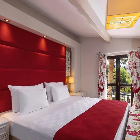 Otel Baga 3*