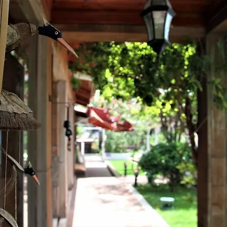 Hotel Baga 3*