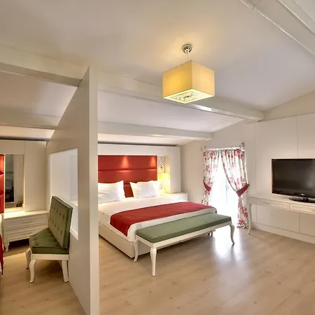 Otel Baga 3*