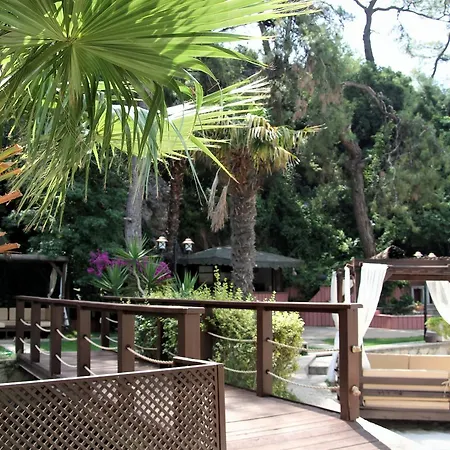 Otel Baga 3*