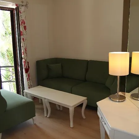 Otel Baga 3*